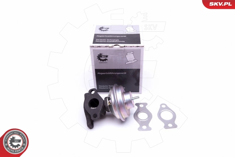 EGR Valve